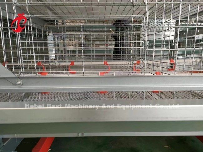 Hot Dipped Galvanized 4tiers Chicken Brooder Cages System Full Automated Doris Shi