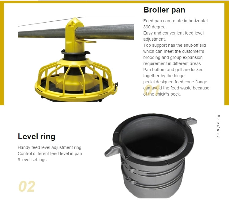 Floor Raising Deep Litter System Chicken Feed Pan In Poultry
