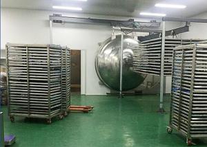 China Pharma Industry Electric Heating Freeze Dryer In Pharmaceutics wholesale