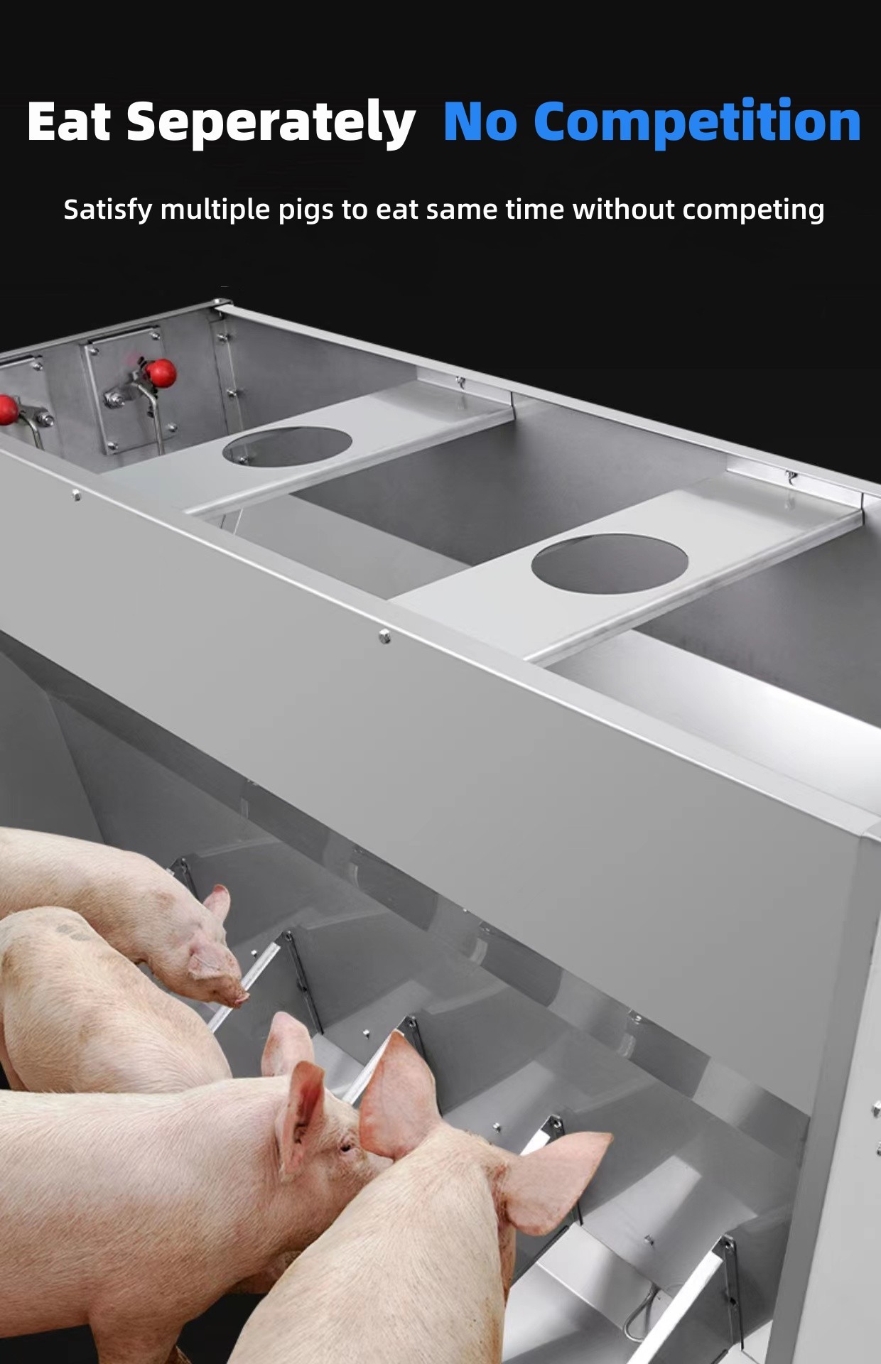 Weaning Pig Livestock Feeding Equipment Stainless Steel Hog Feeders