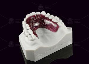China Hygienic Tongue Crib Appliance Kids / Teens Tongue Guard Orthodontic wholesale