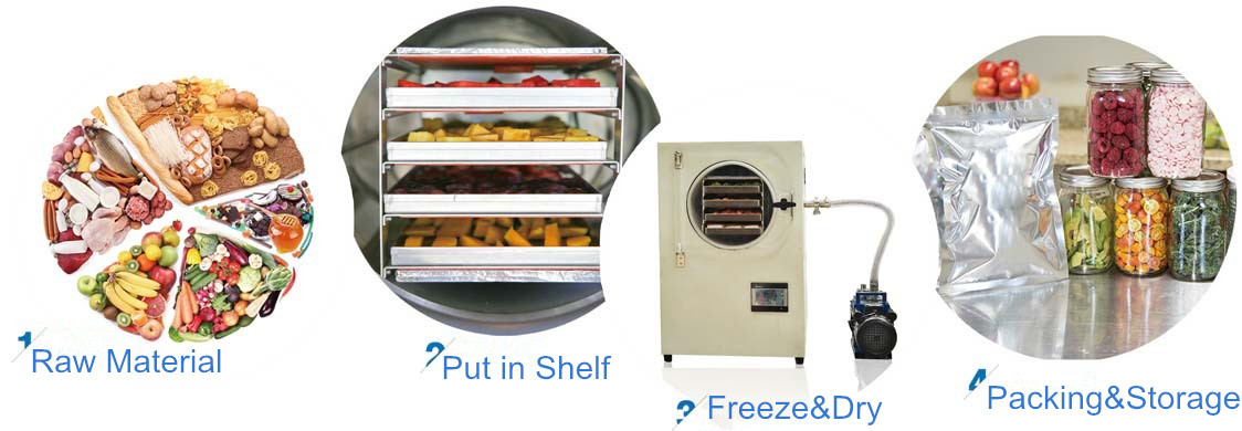 Food Lyophilizer Freeze Dryer 2Kg-4Kg Fully Stainless Steel Mini