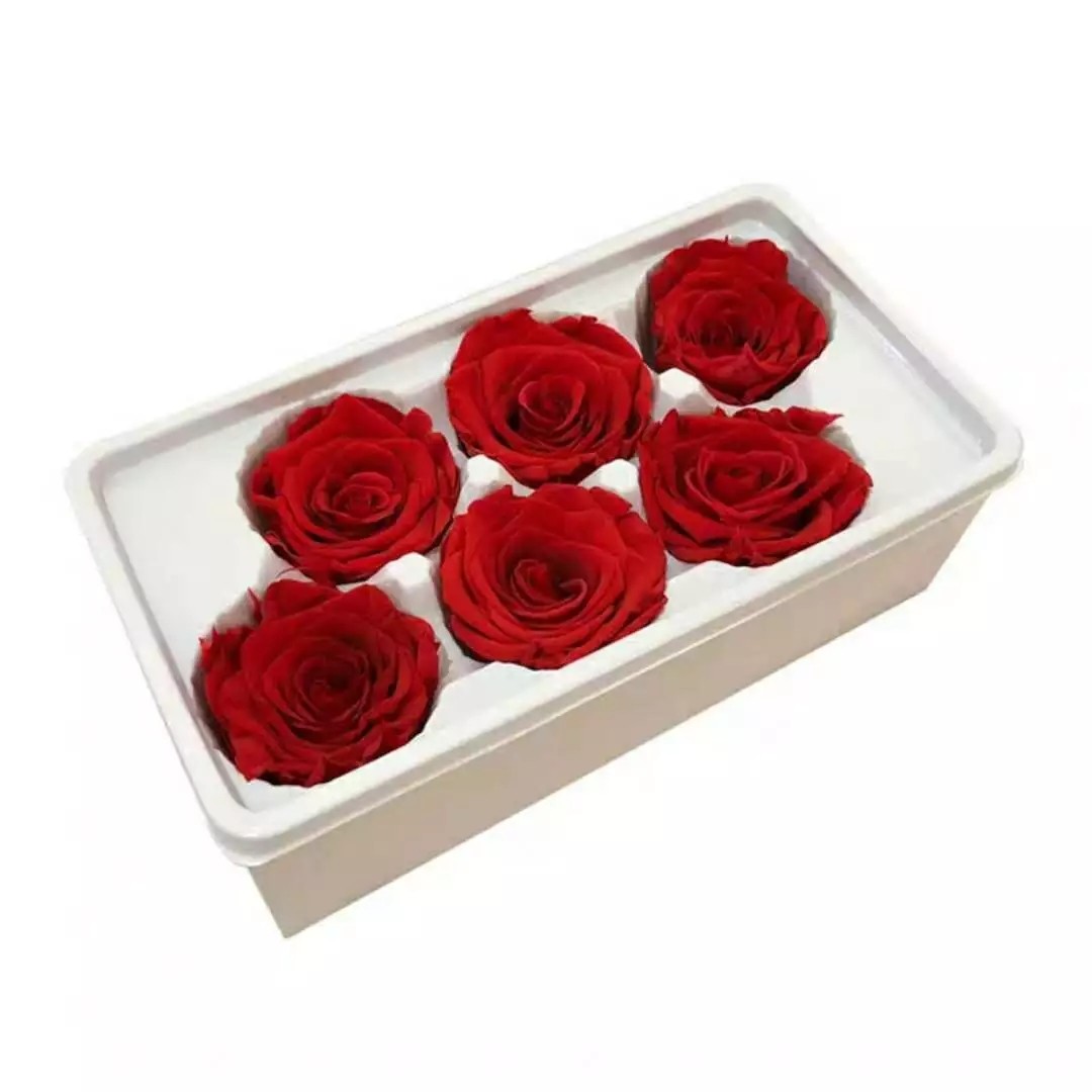 preserved flower eternal rose preserved flower rose natural preserved rose