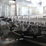 500ml Milk Bottling Equipment