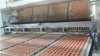 A to Z Fruit Jelly Gummy Production Line Coca Cola Gummy Processing Line 300Kg/H