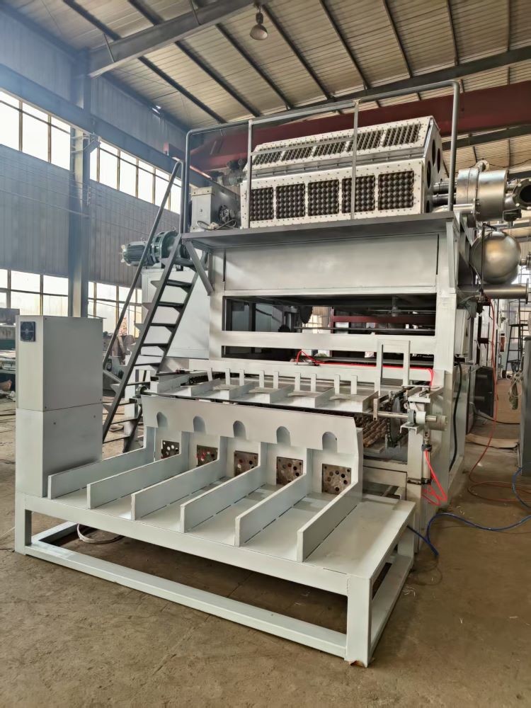 Recyclable Paper Pulp Moulding Machine Big Capacity 1500pcs/h-6000pcs/h Egg Tray Machine Egg Carton Production Line
