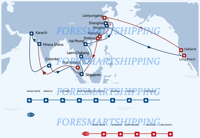 China To Canada Door To Door DDP North America Shipping