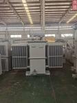 10kv 380v 100kva 3 Phase Pad Mounted Transformer