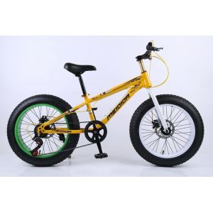China Steel Frame 21 Speed 26 Inch Electric Fat Bike wholesale