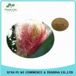 Manufacturer Direct Price Organic Corn Stigma Extract
