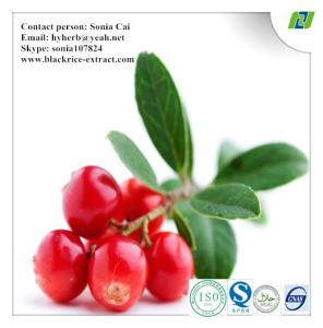China Hongkong Imported Cranberry extract wholesale