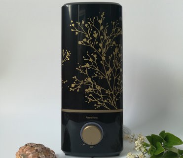Decorative Portable Electric Aroma Diffuser 1.585 Mist Output 2.7L Capacity