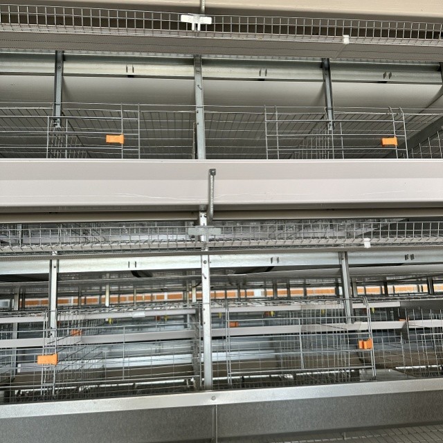 Space-Saving Design High Yield H-Type Fully Automatic Layer Cages for Modern Farms