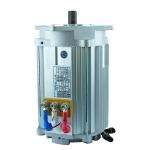 Reliable 2.5kW-5kW AC motor for Electric Vintage Car,Electric Patrol Vehicle