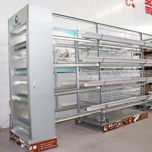 China High Laying Rate Layer Chicken Cage 195cm Long Less Disability 44 - 69kg Weight wholesale