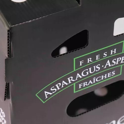 A4 Nuc Asparagus Corrugated Plastic Sheet Box With UV Coating