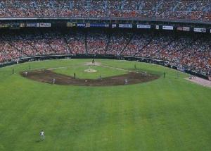 China Green Baseball Artificial Turf , Synthetic Turf Baseball Fields wholesale