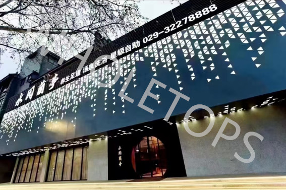 3.0mm 3d Laser Cut Aluminum Panel Exterior Decorative Perforated Metal Cladding Screen Sheet