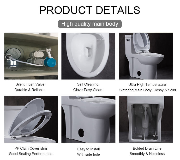 1.28gpf 4.8lpf Dual Flush single piece toilet bidet