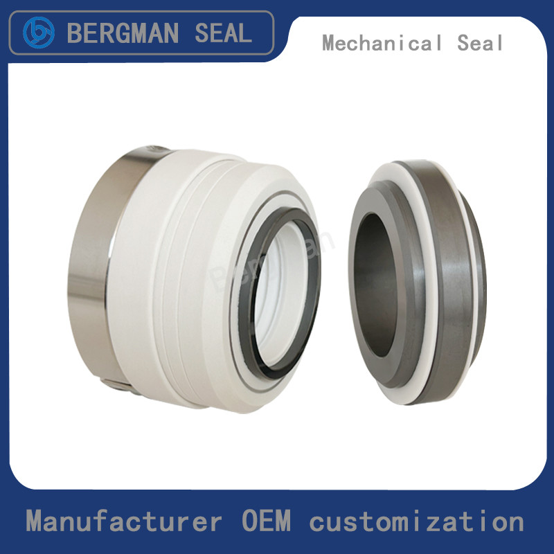 Original WB2-25/30/35/40/45/50/55/60/65/70/80mm Corrosion Resistant Chemicals Pump Mechanical Seal