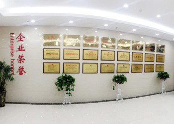 Anhui Hongshi Optoelectronic High-tech Co.,Ltd