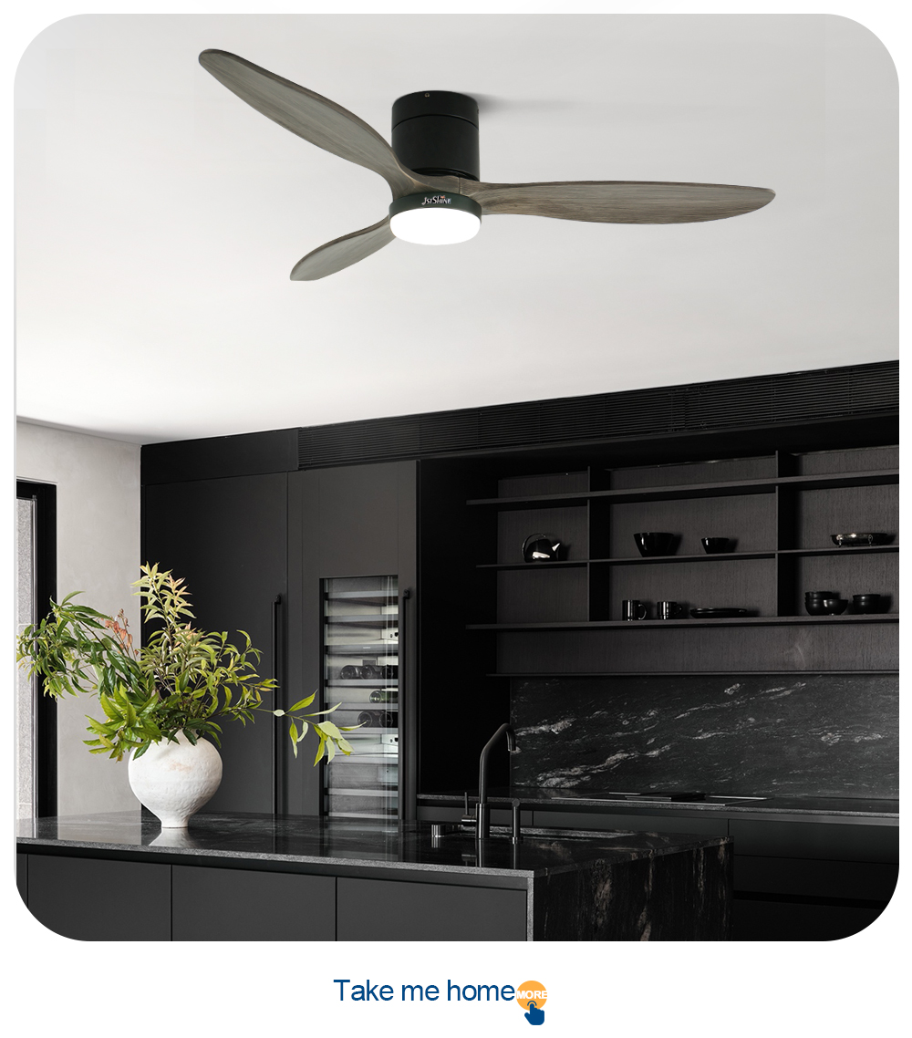 ceiling fan