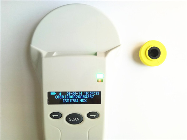 USDA Integra MINI Swine Ear Tags , RFID Electronic Tag With Buttons Yellow 30mm*13mm