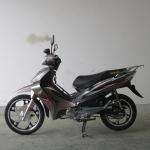 Leisure 135CC 1310mm Wheelbase TR135-AD Cub Motorcycle
