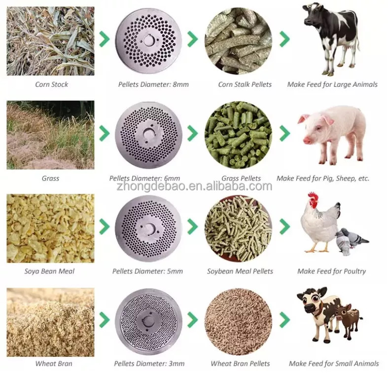 1t/h, 2t/h flat die animal feed production line for chicken feed cattle goat rabbit poultry feed pellet production line