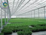 anti aging 8mm agricultural clear polycarbonate greenhouse