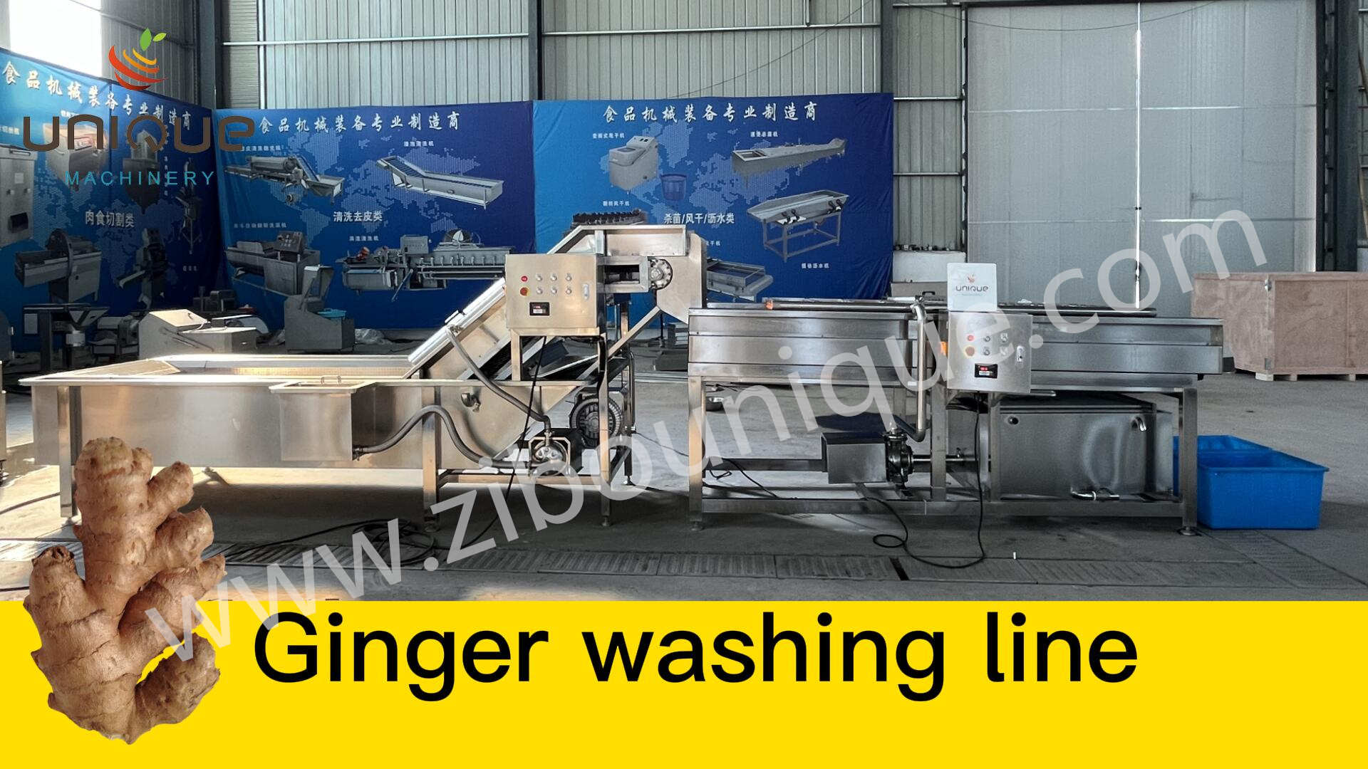 Hydraulic Tipping Machine for Hassle-Free Unloading of Root Vegetables and More