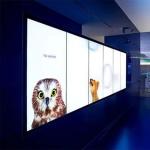 Durable Outdoor Advertising Light Box For Retail Stores / Showrooms