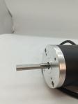 Robust Brushed DC Motor