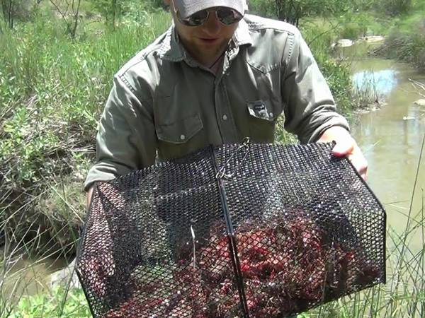 19 Gauge Crawfish Wire Mesh PVC Coated Saltwater Resistant