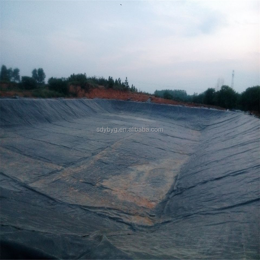 Waterproof HDPE Geomembrane Liners for Fish Pond Projects Long Service Life Guaranteed