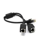 0.3m Length Cat5 Rj45 Cable