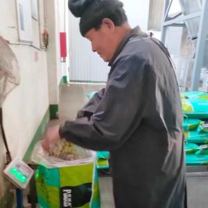 China 30kg Poultry Feed Healthy Dog Food Additives Blood Meal Powder wholesale