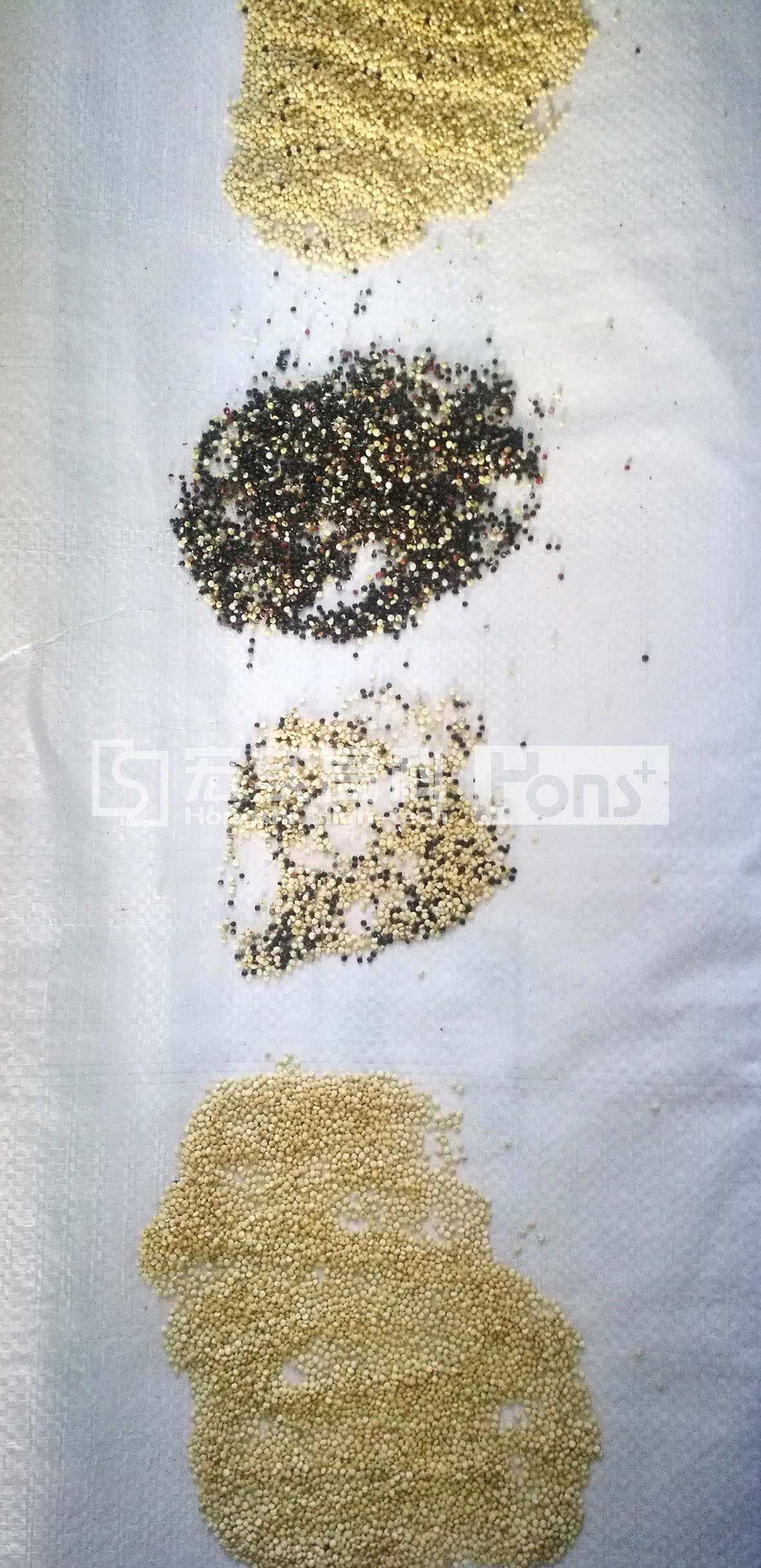 AC220V / 50Hz CCD Color Sorter Wheat Color Sorter With Industrial Operation