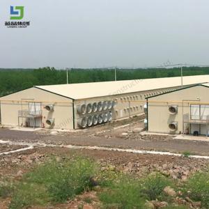 China Hot Dipped Galvanized Steel Frames Prefab Chicken House Poultry Farm House Cow Cattle Barn Shed wholesale