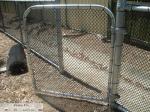 3.76mm - 50x50mm chain link fence Cyclone Fence For Sale