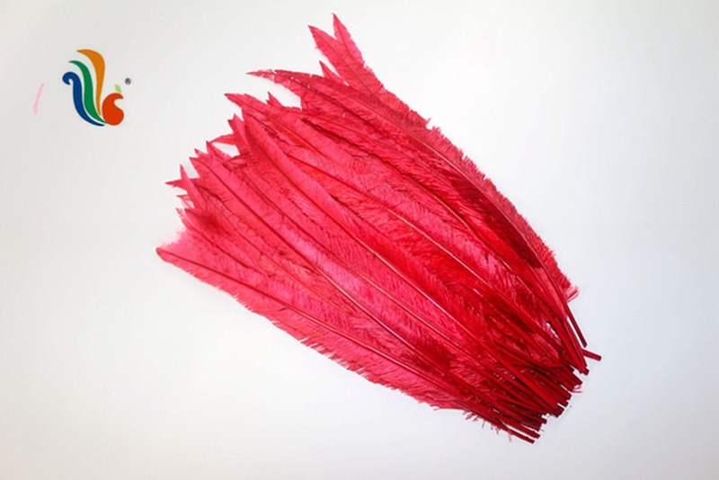 Party Decoration Nandu Plumes Feather Dyed Pattern for Worldwide Shipping