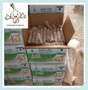 China white garlic 2016 Chinese Fresh Stored Garlic.Jinxiang Crop wholesale