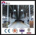 OEM Galvanized Steel Structure Building