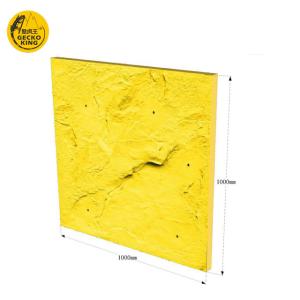China Gym Equipment For Indoor And Outdoor Rock Climbing Wall Panels wholesale