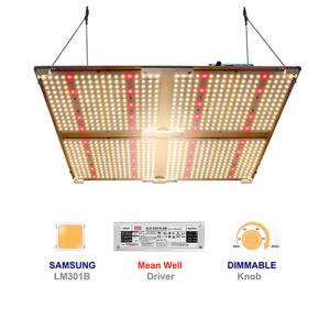 China Samsung LM301B Quantum QB SF4000 Full Spectrum Led Grow Light wholesale