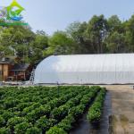 1m-12m Width Greenhouse Plastic Film