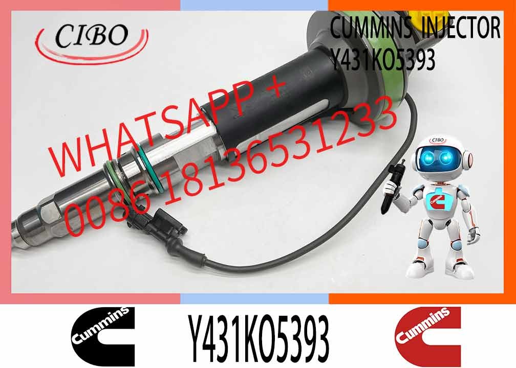 Fuel Injector Assembly 2867147 2882077 4955524 Y431KO5393 2882078For Qsk19 Engine