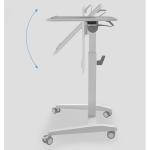 Height Adjustable Pneumatic Desk For Kids Study And Computer