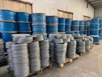 LANGFANG WISDOM IMPORT & EXPORT CO., LTD.