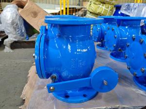 China Cast Iron Metal Seat Check Valve For Pressure Rating PN10-PN16/ 125lb-150lb/ 5K-10K wholesale